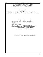 BAI THI TIM HIEU LUAT VI PHAM HANH CHINH
