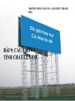 BAI 9 CAU TAO VA TINH CHAT CUA CO