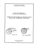 nghiên cứu chế tạo điện cực tiếp đất sử dụng trong công điện và dân dụng