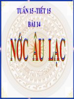 Tiết 15-Bài 14   NƯỚC ÂU LẠC