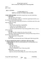 cadaodanca ve tinhcam gia dinh daydu