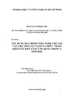 xây dựng quy trình công nghệ chế tạo vật liệu oxit sắt nono và phức nhằm khảo sát khả năng ứng dụng trong y sinh học