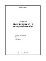 BAI DU THI XU LI VI PHAM HANH CHINH