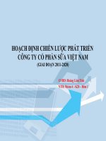 tiểu luận hoạch định chiến lược phát triển công ty cổ phần sữa việt nam giai đoạn 2011 - 2020