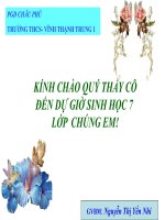 tiết 47 thỏ - giáo án tham khảo bồi dưỡng thao giảng, thi giáo viên giỏi (6)