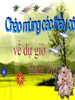 Ba thể của nước tuần 11