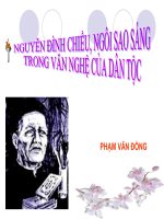 Bài Nguyễn Đình Chiểu