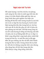 nghị luận bài tự tình