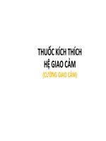 THUỐC TRÊN HỆ THẦN KINH THỰC VẬT