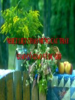 Tập đọc lớp 3: Ông ngoại