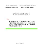 đề xuất các giải pháp giảm thiểu việc sử dụng bao bì nilong tại tp.hcm hướng đến xã hội tiêu thụ bền vững
