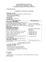 giao an chu de mam non