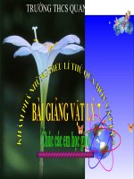 Bai giảng điện tử Bài 4 Định luật phản xạ ánh sáng