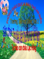 Tim hieu kien thuc LS5