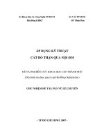 áp dụng kỹ thuật cắt bỏ thận qua nội soi