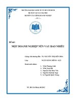 tiểu luận môn tài chính doanh nghiệp một doanh nghiệp nên vay bao nhiêu