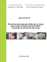 Đề xuất các giải pháp giảm thiểu việc sử dụng bao bì nilong tại TP.HCM hướng đến xã hội tiêu thụ bền vững