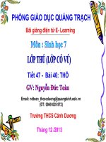 tiết 47 thỏ - giáo án tham khảo bồi dưỡng thao giảng, thi giáo viên giỏi (11)