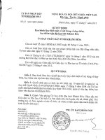 Quyết định 14-UBND Tỉnh