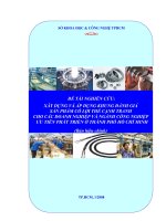 xây dựng và áp dụng khung đánh giá sản phẩm có lợi thế cạnh tranh cho các doanh nghiệp và ngành công nghiệp ưu tiên phát triển ở thành phố hồ chí minh