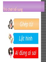 trò chơi bổ sung