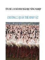 tiết 47 quần thể sinh vật - giáo án sinh học 9 bồi dưỡng thao giảng, thi giáo viên giỏi tham khảo (10)