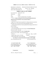 ĐỀ TÀI: Nghiên cứu, dùng tin học tính toán móng nông dạng dầm đơn hoặc băng giao nhau trên nền đàn hồi (theo mô hình nền winkler)