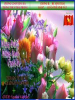 tiết 47 quần thể sinh vật - giáo án sinh học 9 bồi dưỡng thao giảng, thi giáo viên giỏi tham khảo (14)