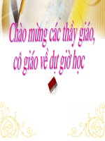 tiết 47 thỏ - giáo án tham khảo bồi dưỡng thao giảng, thi giáo viên giỏi (18)