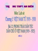 Bài 12: Phong trào DTDC 1919 - 1925 (Tiết 1) - Hỗ trợ