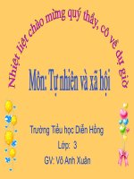 thực vật lớp 3