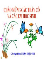 tiết 47 thỏ - giáo án tham khảo bồi dưỡng thao giảng, thi giáo viên giỏi (16)