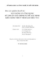 xây dựng và ứng dụng kỹ thuật giải trình tự để xác định kiểu gene virút viêm gan siêu vi c