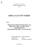 một số giải pháp nhằm nâng cao hiệu quả cho vay tiêu dùng tại nhnn & ptnt chi nhánh yên sơn - tuyên quang