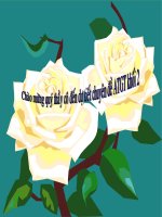 luyện từ và câu lớp 2