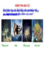 Bài 10 - Đặc điểm chung và vai trò của ngành Ruột khoang