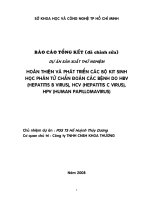 hoàn thiện và phát triển các bộ kit sinh học phân tử chẩn đoán các bệnh do hbv (hepatitis), hcv (hepatitis c virus) và hpv (human papillomavirus)