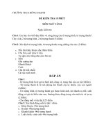 de kiem tra 15p tv 8