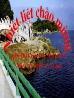 TNXH Bài : Vệ sinh thần kinh