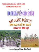 tiết 47 quần thể sinh vật - giáo án sinh học 9 bồi dưỡng thao giảng, thi giáo viên giỏi tham khảo (5)