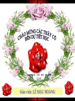 tiết 47 thỏ - giáo án tham khảo bồi dưỡng thao giảng, thi giáo viên giỏi (3)