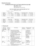 Kế hoạch giảng dạy - ngữ văn 9