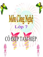 BÀI 12 CÔNG NGHỆ 7