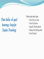 tự nhiên xã hội về tìm hiểu về quê hương xuân trường
