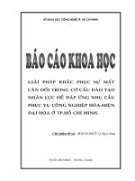 giải pháp khắc phục sự mất cân đối trong cơ cấu đào tạo nhân lực nhân lực để đáp ứng nhu cầu phục vụ công nghiệp hoá hiện đại hoá ở tp.hcm