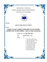 quản lý chất lượng toàn diện tại các doanh nghiệp vừa và nhỏ (smes) - giáo sư abby ghobadian