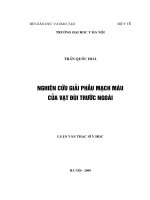 Nghiên cứu giải phẫu mạch máu  của vạt đùi trước ngoài