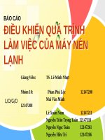 Báo cáo điều khiển quá trình làm việc của máy nén lạnh
