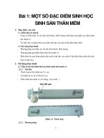 thực hành mô và phôi học thủy sản