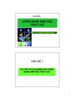 công nghệ sinh học thực vật